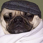 Nate DudeUltra 2026-04-090303