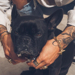 Nate DudeUltra 2026-04-091450