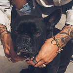 Nate DudeUltra 2026-04-091450