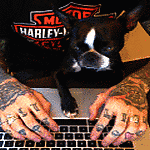 Nate DudeUltra 2026-04-091578