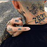 Nate DudeUltra 2026-04-091591